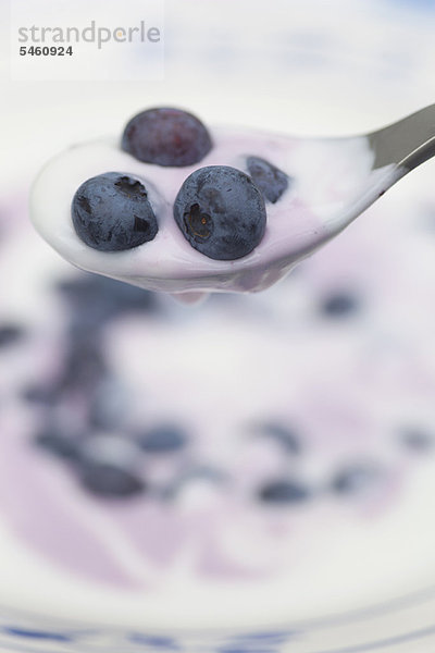 Nahaufnahme von Heidelbeeren und Joghurt