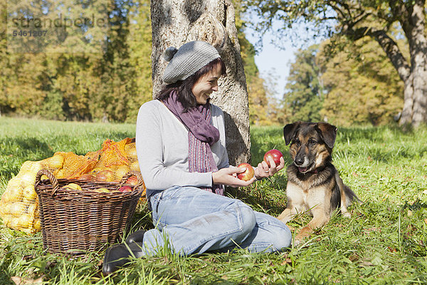 Frau pflückt Äpfel mit Hund