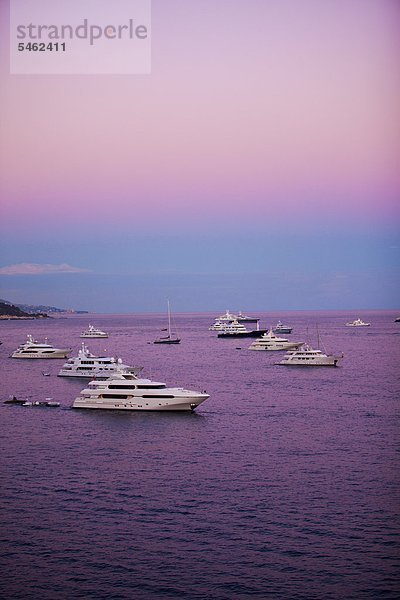 Moored boats