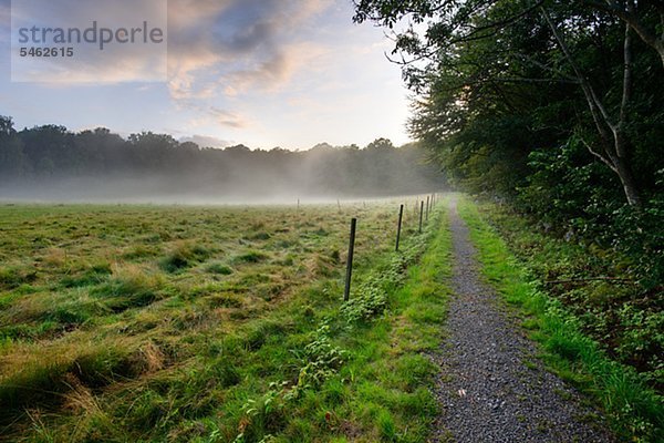 Eine Straße und ein Feld