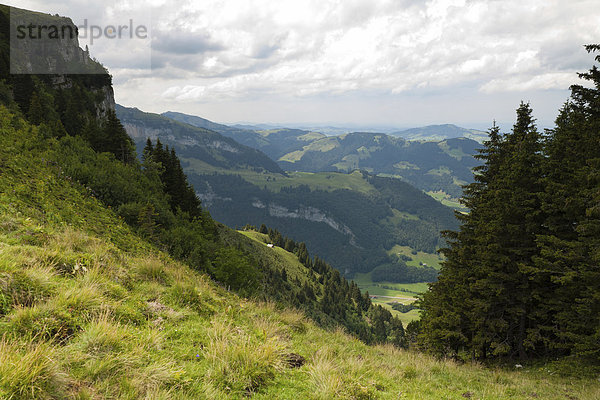 Die Alp Sigel mit Blickrichtung Ebenalp  Brülisau  Appenzell Innerrhoden  Schweiz  Europa  ÖffentlicherGrund
