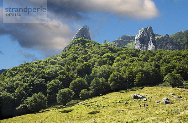 Chaudefour Tal  Puy de Dome  Auvergne  Frankreich  Europa