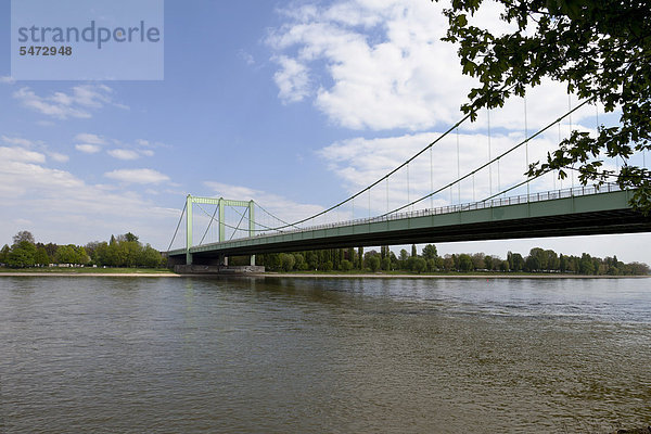 Rodenkirchener Autobahnbrücke über den Rhein  Köln-Rodenkirchen  Nordrhein-Westfalen  Deutschland  Europa
