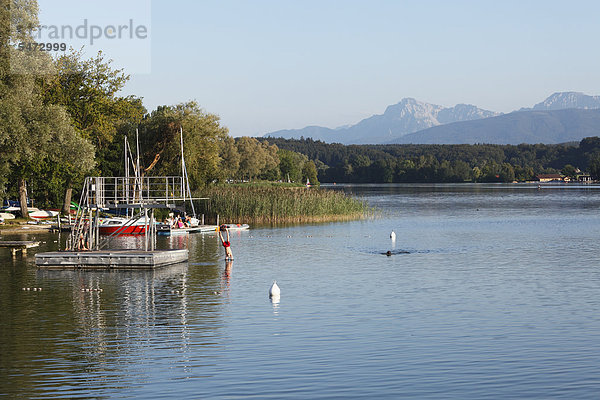 Waginger See in Tettenhausen  Rupertiwinkel  Oberbayern  Bayern  Deutschland  Europa