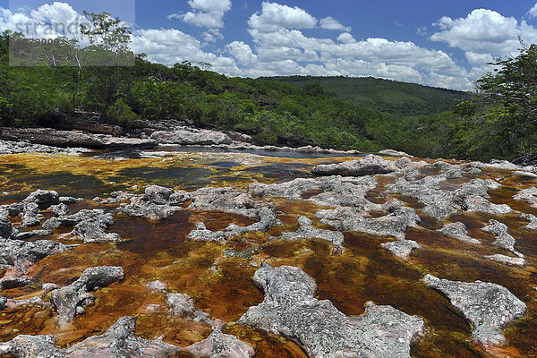 Schwarzwasserfluss bei Lencois  Chapada Diamantina  Bahia  Brasilien  Südamerika