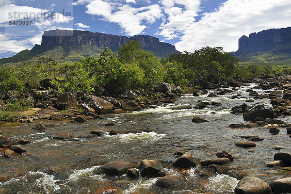Fluss vor Tafelberg Kukunan und Tafelberg Roraima  Dreiländereck Brasilien  Venezuela  Guyana auf der Hochebene  Südamerika