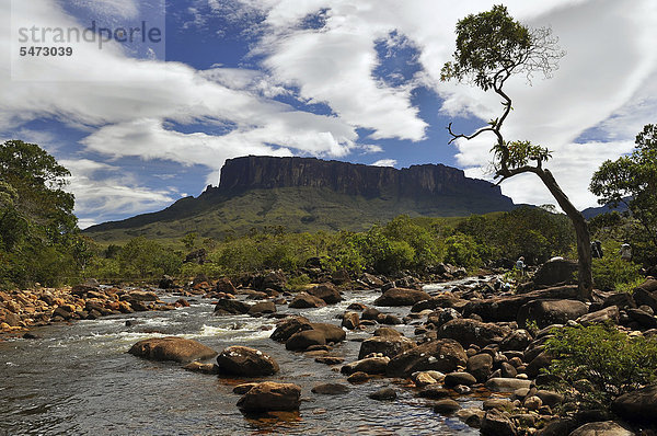 Fluss vor Tafelberg Kukunan  Trek zum Tafelberg Roraima  höchster Berg Brasiliens  Dreiländereck Brasilien  Venezuela  Guyana auf der Hochebene  Südamerika