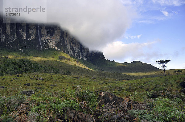 Steilwand vom Tafelberg Roraima mit Wolken  höchster Berg Brasiliens  im Vordergrund die Gran Sabana  Dreiländereck Brasilien  Venezuela  Guyana auf der Hochebene  Südamerika