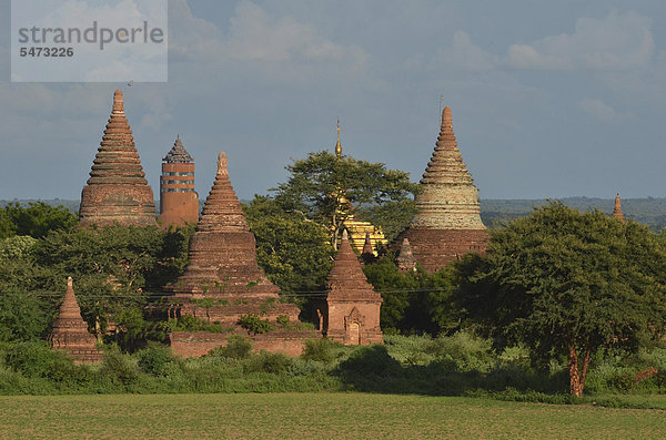 Pagodenfeld  buddhistische Pagoden  Old Bagan  Pagan  Burma  Birma  Myanmar  Südostasien  Asien