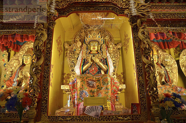 Tibetischer Buddhismus  beleuchtete Buddhafiguren  Kloster Reting  Mount Gangi Rarwa  Himalaya  Lhundrup County  Zentraltibet  Tibet  China