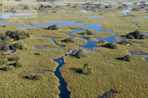 Luftaufnahme  Okavango-Delta  Botsuana  Afrika