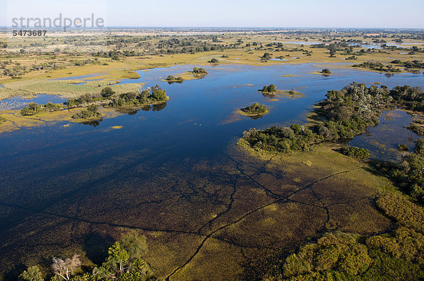 Luftaufnahme  Okavango-Delta  Botsuana  Afrika