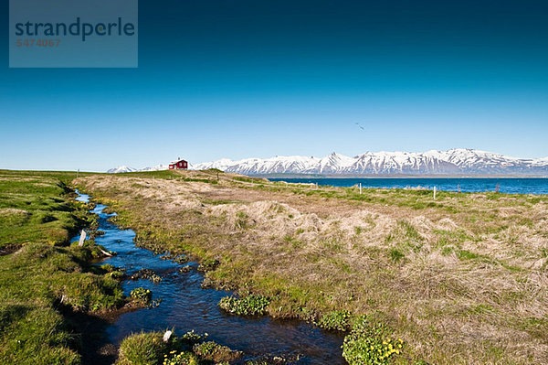 Dalvik  Island