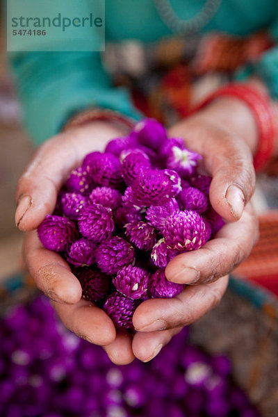 Frau mit gefärbten Blumen  Kathmandu  Nepal