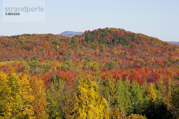 Landschaft mit Bäumen in herbstlichen Farben  Ville de Lac Brome  Quebec  Kanada