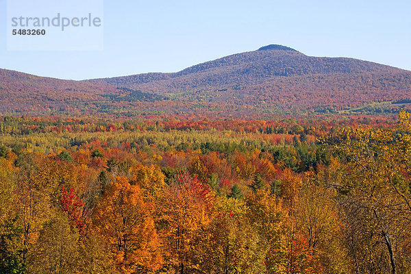 Landschaft mit Bäumen in herbstlichen Farben  Mansonville  Quebec  Kanada
