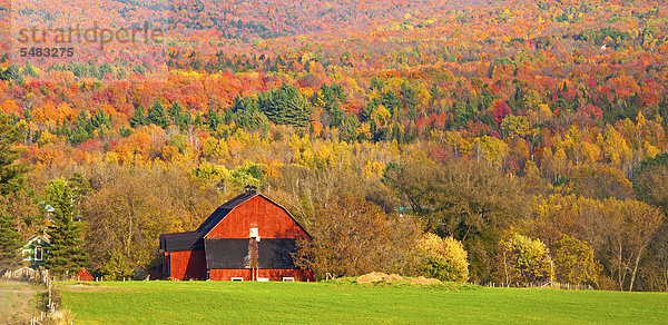 Wohnhaus Baum Landschaft frontal Herbst