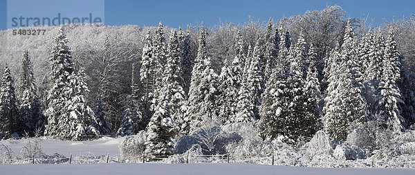 Winterlandschaft  Ville de Lac Brome  Quebec  Kanada