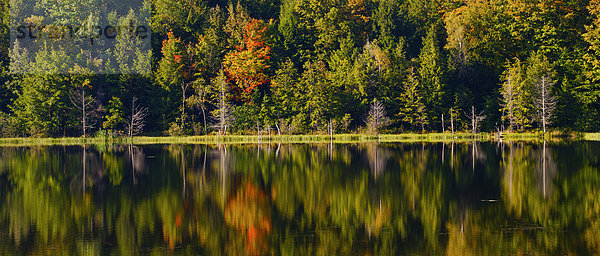 Panorama eines Sees im Herbst  Iron Hill  Quebec  Kanada