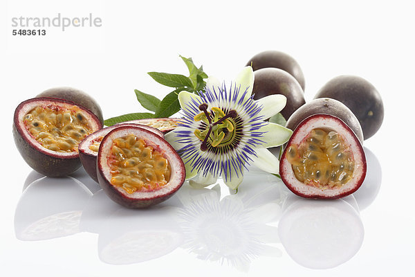 Passionsfrüchte  Maracujas (Passiflora edulis) mit Blüte