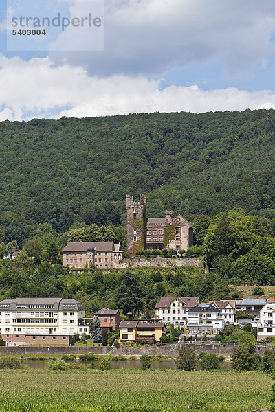 Mittelburg  Neckarsteinach  Vierburgeneck  Naturpark Neckartal-Odenwald  Hessen  Deutschland  Europa  ÖffentlicherGrund