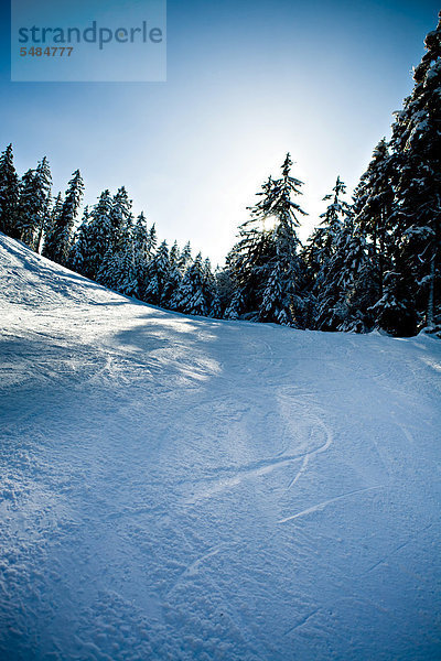 Winterlandschaft  Berchtesgadener Land  Alpen  Bayern  Deutschland  Europa