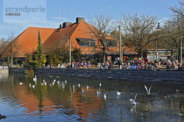 Biergarten MichaeliGarten im herbstlichen Ostpark mit Wasservögeln  Ramersdorf  München  Bayern  Deutschland  Europa