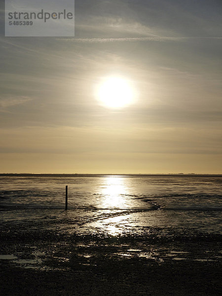 Strand  Ebbe  Norddeich  Ostfriesland  Niedersachsen  Deutschland  Europa