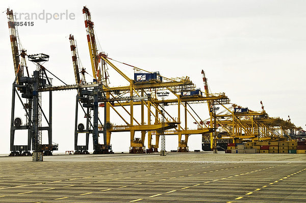 Containerhafen mit Ladekräne  Bremerhaven  Bremen  Deutschland  Europa