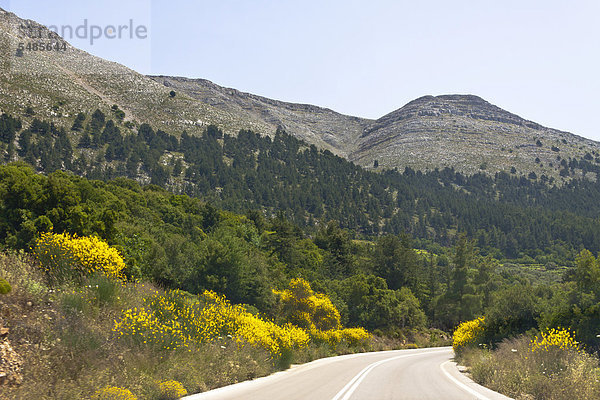 Berg Ataviros  1215 m  höchster Berg der Insel  Rhodos  Griechenland  Europa