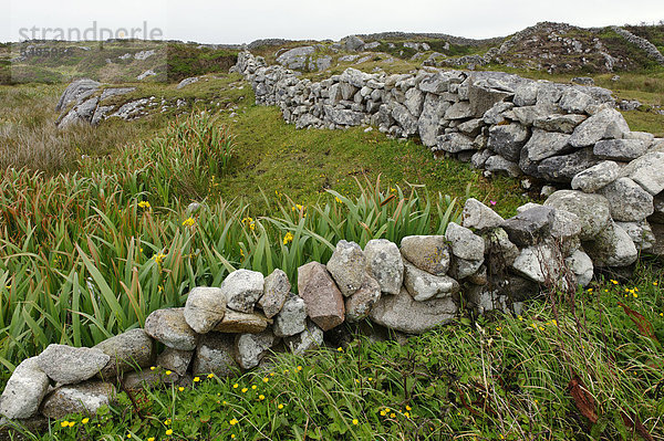 Europa  Steinmauer  Connemara  County Galway  Irland