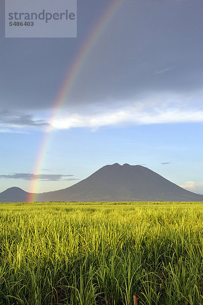 Zuckerrohrfelder mit Regenbogen  Blick auf den Vulkan Usulatan  El Salvador  Zentralamerika  Lateinamerika