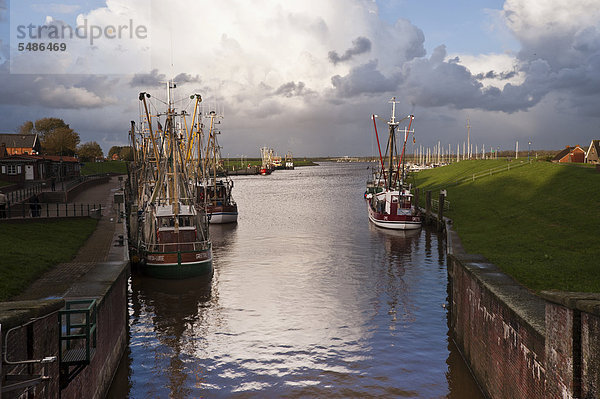 Hafen  Greetsiel  Ostfriesland  Niedersachsen  Deutschland  Europa