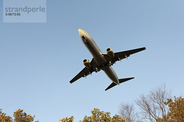 Boeing 737 im Landeanflug über herbstlichen Bäumen  Flughafen Düsseldorf  Nordrhein-Westfalen  Deutschland  Europa