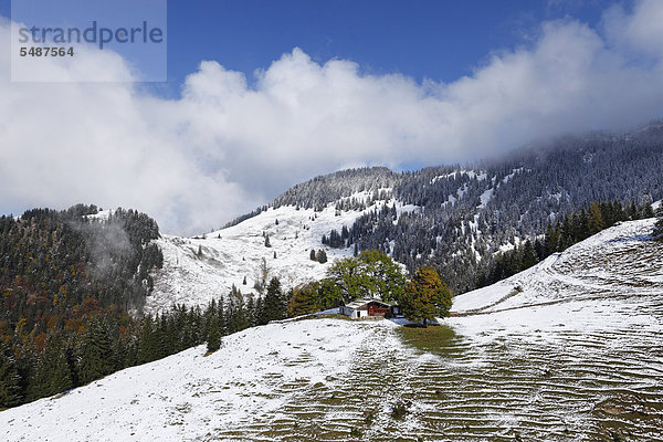 Untere Dickelalm am Wendelstein  Bayrischzell  Mangfallgebirge  Oberbayern  Bayern  Deutschland  Europa