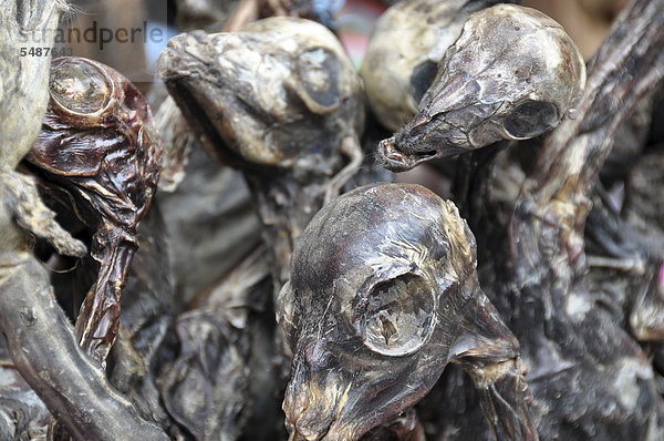 Getrocknete Lamaföten  alte Indiotradition  Hexenmarkt in La Paz  Bolivien  Südamerika
