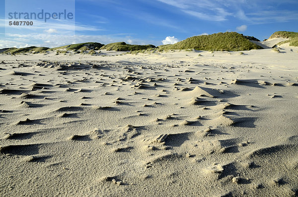Sandstrukturen vor Dünen  Kniepsand  Nordseeinsel Amrum  Kreis Nordfriesland  Schleswig-Holstein  Deutschland  Europa