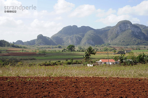 Nationalpark Amerika Landwirtschaft Karibik Mittelamerika Pinar Del Rio Viñales Kuba Große Antillen Valle
