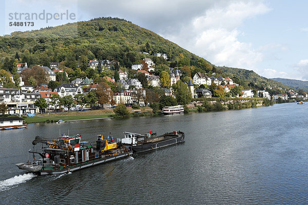 passen Europa Fluss Villa Containerschiff Baden-Württemberg Deutschland Heidelberg