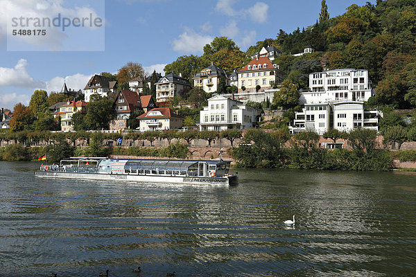 passen Europa Tourist Boot Fluss Villa Baden-Württemberg Deutschland Heidelberg