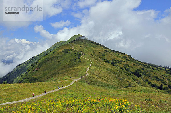 Wanderweg von der Bergstation Kanzelwandbahn zum Fellhorn  Allgäuer Alpen  Bayern  Deutschland  Europa  ÖffentlicherGrund