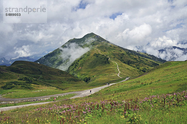 Wanderweg von der Bergstation Kanzelwandbahn zum Fellhorn  Allgäuer Alpen  Bayern  Deutschland  Europa  ÖffentlicherGrund