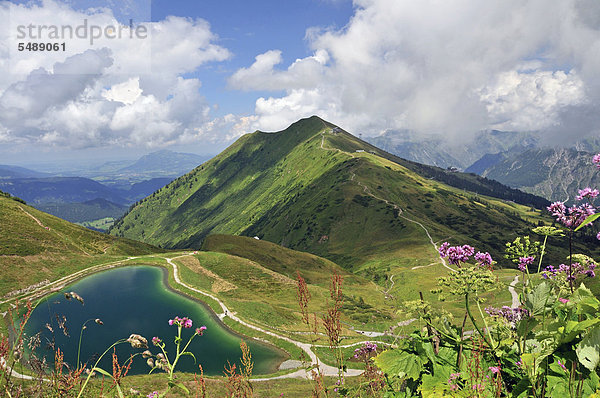 Künstlich angelegter See  Schneeteich  speist die Schneekanonen die die Pisten der Fellhorn- und Kanzelwandbahn komplett beschneien  dahinter das Fellhorn  Allgäu  Allgäuer Alpen  Bayern  Deutschland  Europa  ÖffentlicherGrund