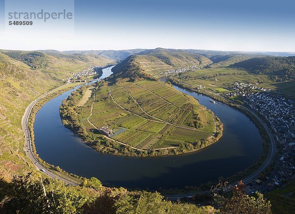 Deutschland  Rheinland-Pfalz  Bremm  Blick auf gewundene Mosel und Weinberg von calmont