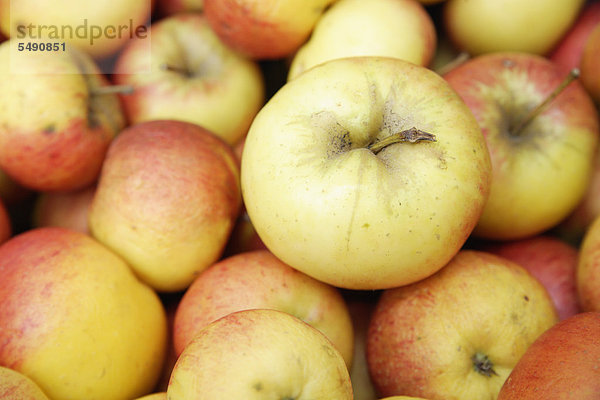 Deutschland  Oberbayern  Wolfratshausen  Äpfel im Markt  Nahaufnahme
