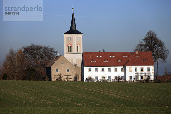 Ortschaft Naustadt mit Kirche und Feld  Klipphausen  Linkselbische Täler  Sachsen  Deutschland  Europa