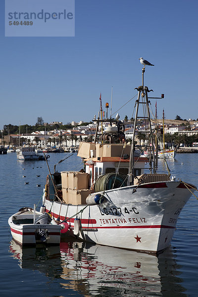 Fischereihafen  Lagos  Algarve  Portugal  Europa