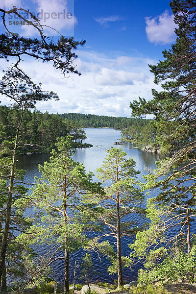 Der See Stora Trehörningen  Tiveden Nationalpark  Schweden  Skandinavien  Europa