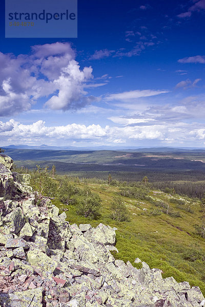 Landschaft in der Nähe des Njupeskär Wasserfalls  Nationalpark Fulufjället  Dalarna  Schweden  Skandinavien  Europa