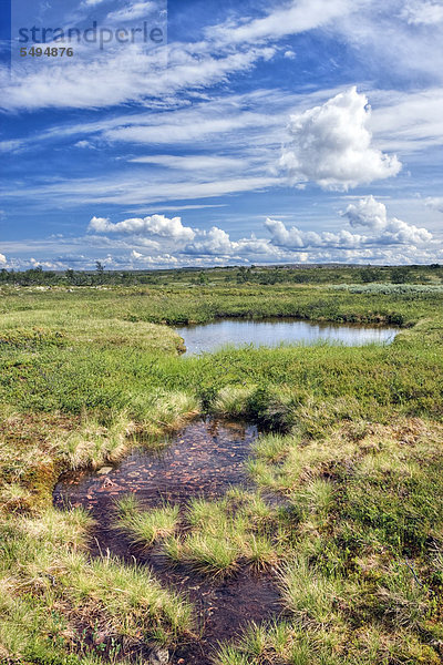 Landschaft am kleinen Rörsjön See  Nationalpark Fulufjället  Dalarna  Schweden  Skandinavien  Europa